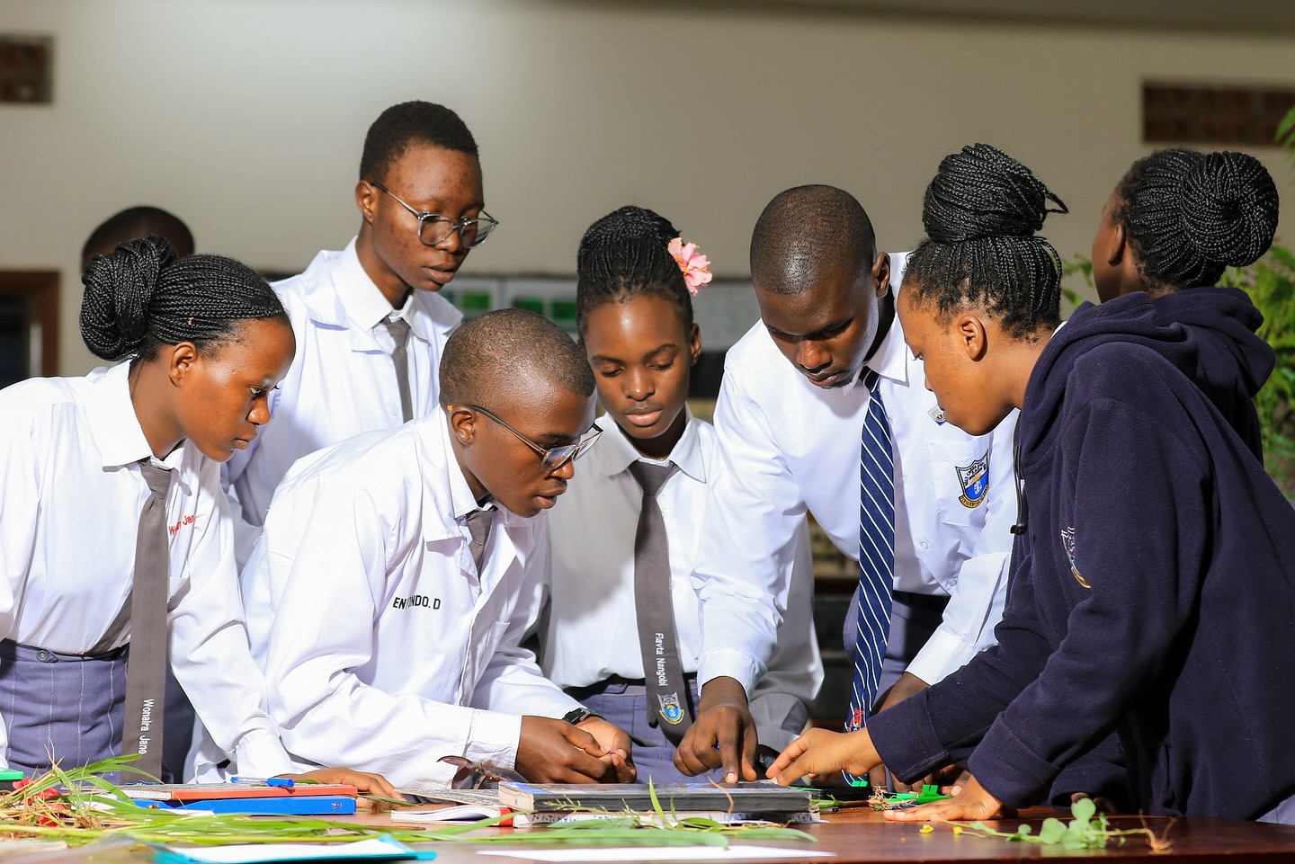 Student academic excellence